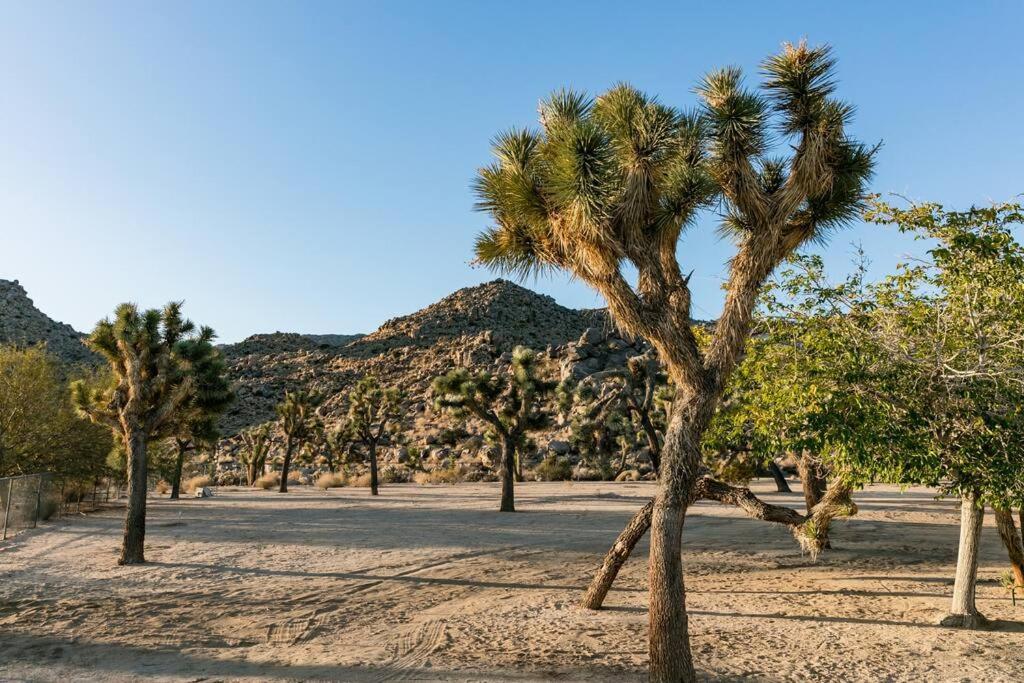 Villa The Way Out Ranch. Escape To Solitude On 2.5 Acres à Joshua Tree Extérieur photo