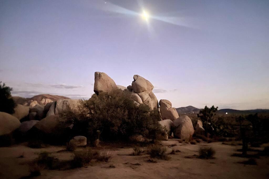 Villa The Way Out Ranch. Escape To Solitude On 2.5 Acres à Joshua Tree Extérieur photo